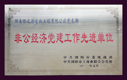 非公經(jīng)濟黨建工作先進單位