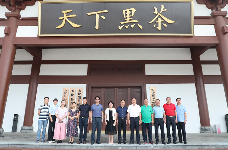 盡職履責 助力鄉(xiāng)村振興 | 胡國安董事長陪同長沙市人大常委會副主任李平一行考察安化農(nóng)業(yè)產(chǎn)業(yè)