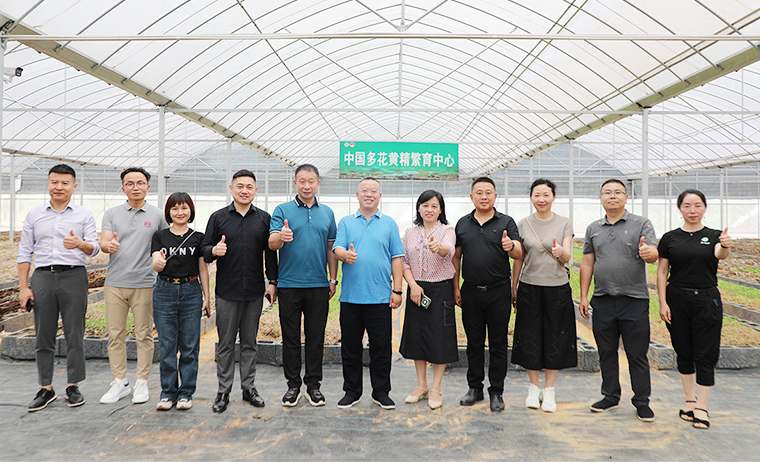 盡職履責(zé) 共謀家鄉(xiāng)產(chǎn)業(yè)振興 | 胡國(guó)安董事長(zhǎng)考察安化黃精產(chǎn)業(yè)發(fā)展，助力鄉(xiāng)村振興造福桑梓